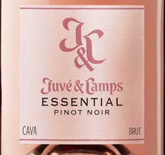 Juve y Camps Essential Brut Rosé